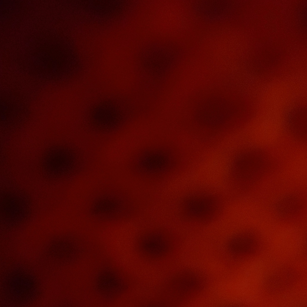 Meet your Posher, Addys